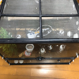爬虫類ケージとその他色々の画像