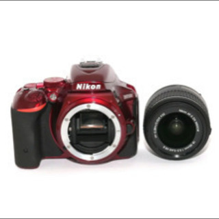 【Nikon】Wi-Fi機能搭載★自撮りもラクラク★D5500レンズキット