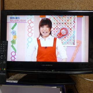 【値引不可】DXアンテナ 19インチ液晶テレビ LVW-193 ...