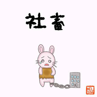やりたいことがやれる時代！社会に打ち勝て東京女子！