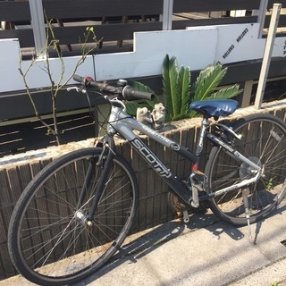 まだ乗れます♪自転車パート２(*^^)v