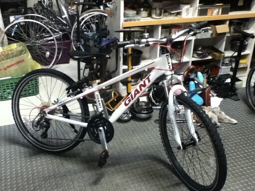 ＧＩＡＮＴ　ＸＴＣ２４