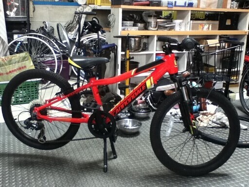 キャノンデール　ジュニア