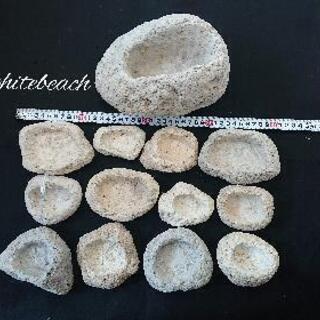 天然軽石鉢13セット