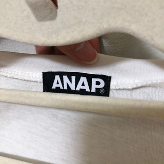 アナップ Ｔシャツの画像