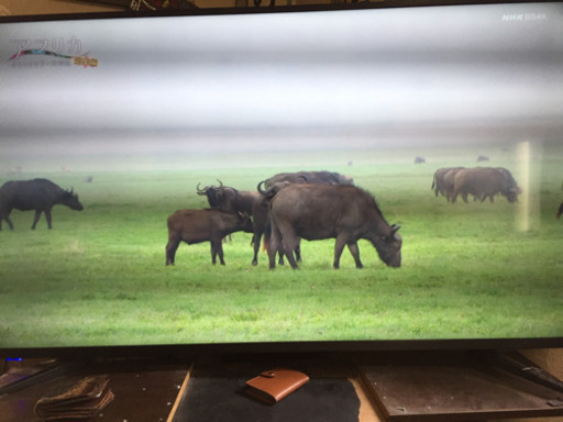 55型 4k対応液晶テレビ 終了