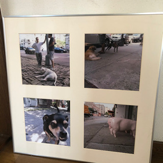 定価1万5千円程しっかりした額縁　写真付き