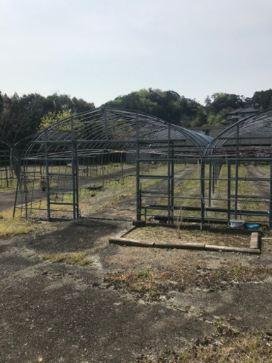 （受け渡し者決まりました。）ビニールハウス　骨組み
