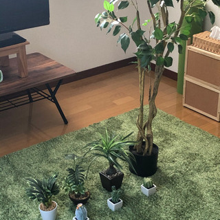 観葉植物 ７点セット レプリカ