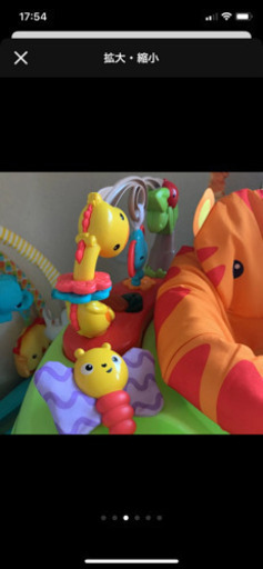 レインフォレスト　じゃんぱるー