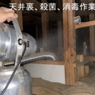 害獣駆除、お任せ下さい！まずは見積もりから