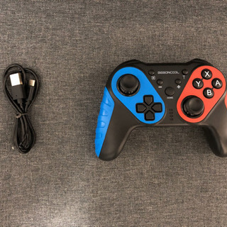 Nintendo Switch コントローラー　ケース
