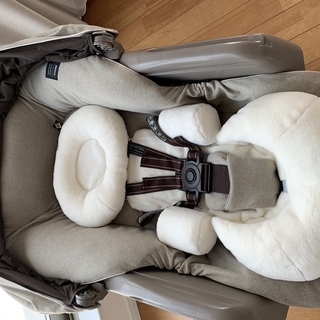 専用　ゼウス関連NX以下3コン＋ヘラ3コン コンビ スウィングベッド＆チェア ネムリラ Auto Swing BEDi EG