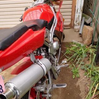 キットバイク　レーサータイプ　107cc　原付二種の画像