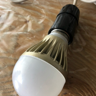 電球
