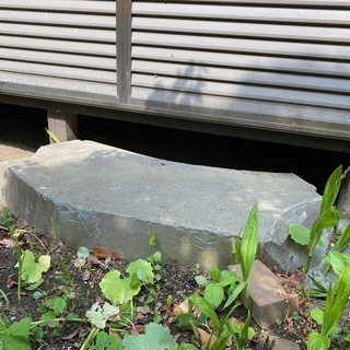 根府川石の庭の沓脱石