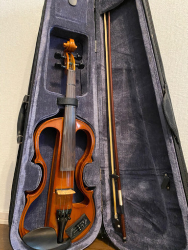 自粛向け　エレキヴァイオリン　カルロジョルダーノ