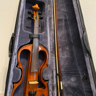 自粛向け エレキヴァイオリン カルロジョルダーノ