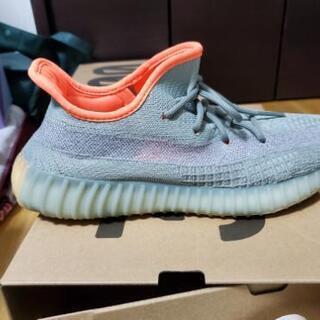 yeezyboost350v2 DESERTSAGEの画像