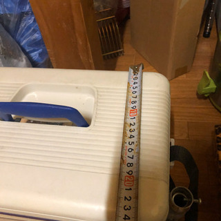 アジ　活かし　クーラーBOX  アオリイカ　ヤエンの画像