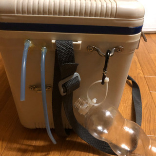 アジ　活かし　クーラーBOX  アオリイカ　ヤエンの画像