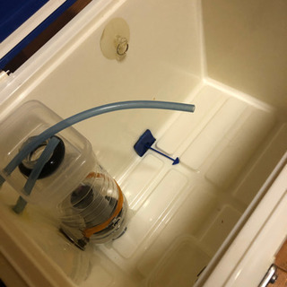 アジ　活かし　クーラーBOX  アオリイカ　ヤエンの画像