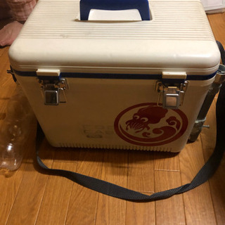 アジ　活かし　クーラーBOX  アオリイカ　ヤエン