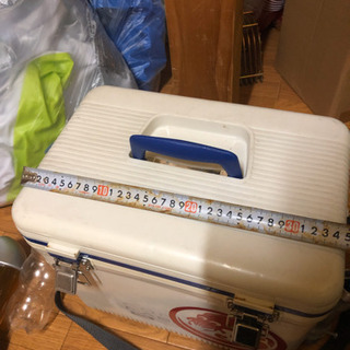 アジ　活かし　クーラーBOX  アオリイカ　ヤエンの画像