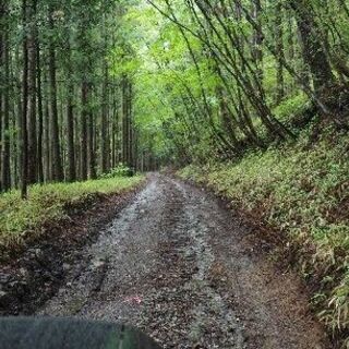 林道　オフロード　バイク　ツーリング