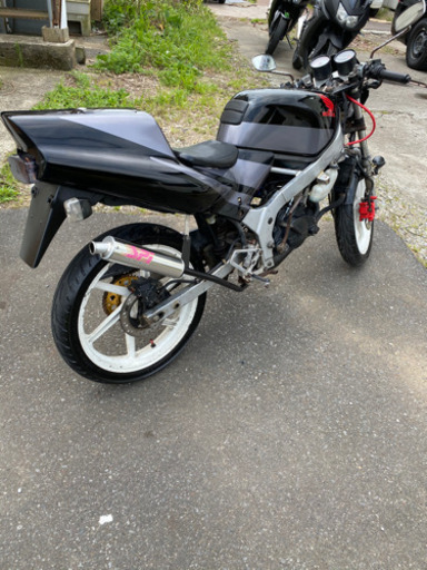 希少　NS-1 実働