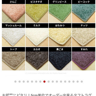 カーペット　ラグの画像