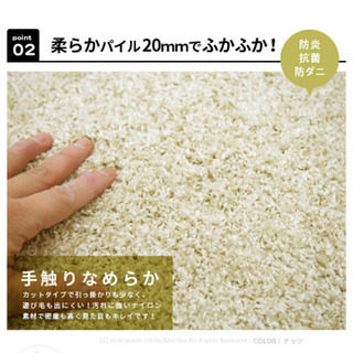 カーペット　ラグの画像