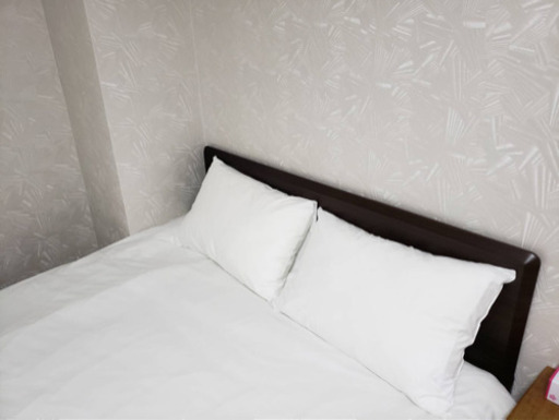 ニトリ　ダブルベット(フレーム+マットレス) 6ヶ月間使用