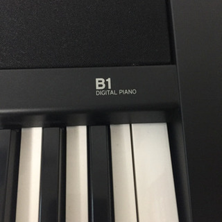 KORG 電子ピアノ