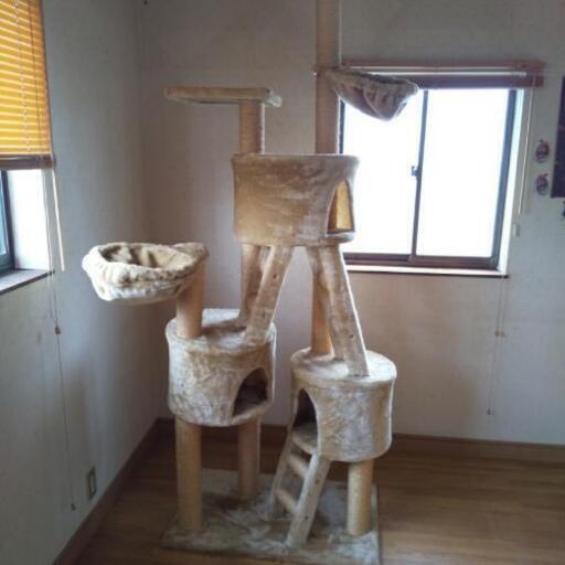 猫タワー