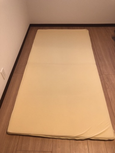【購入先見つかりました。】期間限定特別価格【トゥルースリーパープレミアム　シングル２枚】売ります