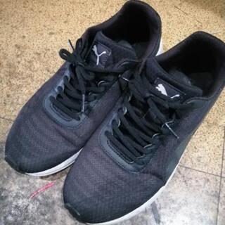 そろそろ処分 PUMAの画像