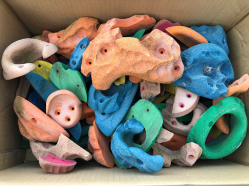 ボルダリングのホールド