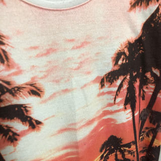 エムズエキサイト カットソーの画像