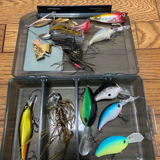 バス釣りを始めてみました、お友達が欲しいです