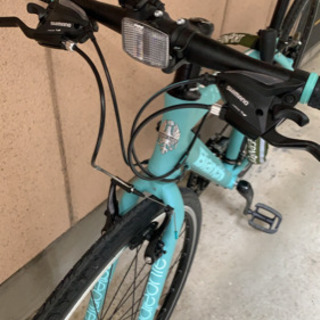 Bianchi / CAMALEONTE 1
