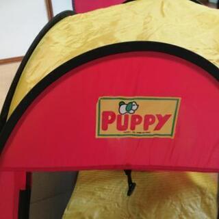 ボールテントの画像