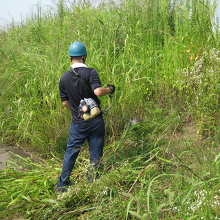 庭木、除草作業、伐採作業を承ります。
