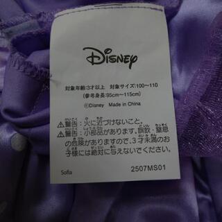 プリンセス　ソフィア　ドレス＆靴の画像