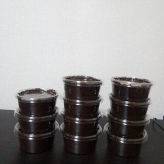 [幼虫]クワガタ　幼虫詰め合わせ　4種類×3頭