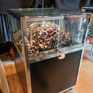 配達可能🚚ショップオーナー様必見❗アクセサリー　ケース　お買い得品❗の画像