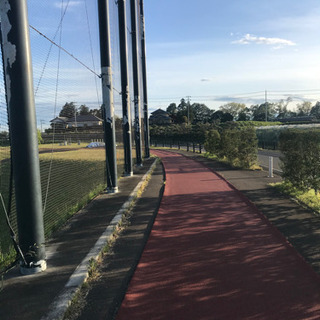 ウォーキング仲間募集