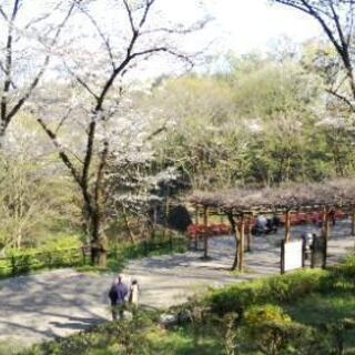 散歩友達🍀募集