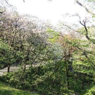 散歩友達🍀募集 - 世田谷区