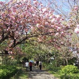 散歩友達🍀募集 − 東京都